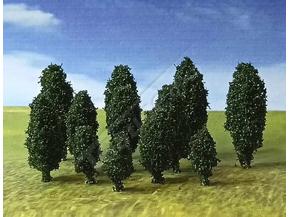 Dark Green Poplar Trees